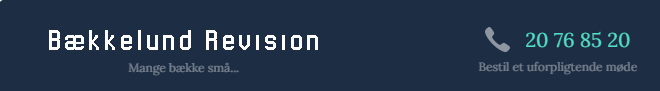 Bækkelund Revision